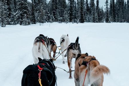 Diese Abenteuer können Urlauber in Skandinavien erleben