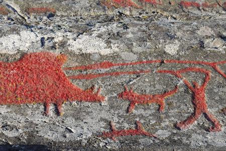 Diese Abenteuer können Urlauber in Skandinavien erleben
