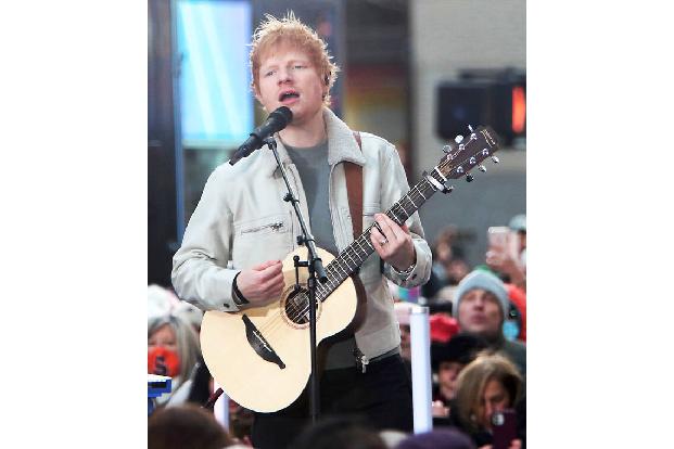 Ed Sheeran erfreut sich schon seit Jahren keiner sonderlichen Beliebtheit in der Nachbarschaft, verwandelt er doch sein Anwesen im Örtchen Framlingham in der Grafschaft Sussex immer mehr zur Festung u ...