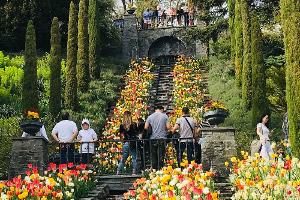 Deutschland erwacht: Ausflugsideen für den Frühling