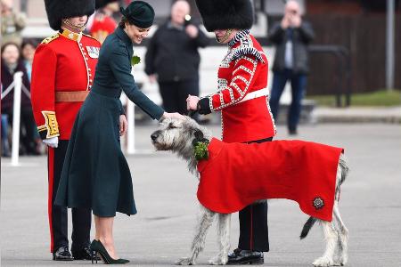 Herzogin Kate: Tierische Begrüßung am St. Patrick's Day