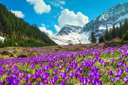Wo sich der Frühling in seiner schönsten Pracht präsentiert