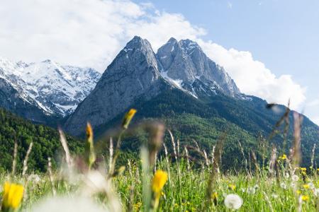 Wo sich der Frühling in seiner schönsten Pracht präsentiert