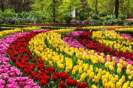 Wo sich der Frühling in seiner schönsten Pracht präsentiert