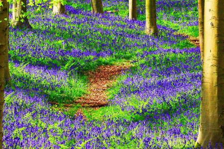 Wo sich der Frühling in seiner schönsten Pracht präsentiert