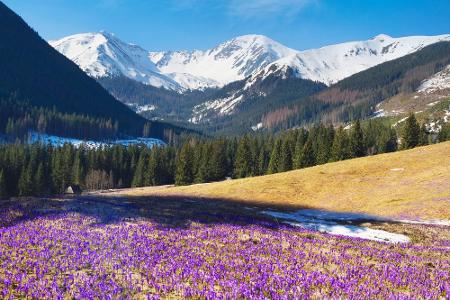 Wo sich der Frühling in seiner schönsten Pracht präsentiert