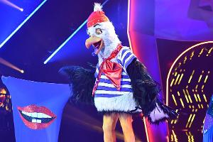 "The Masked Singer": Ein ZDF-Moderator legt die Möwen-Maske ab