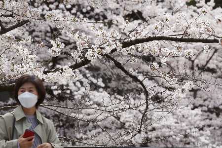 Corona-News der Woche