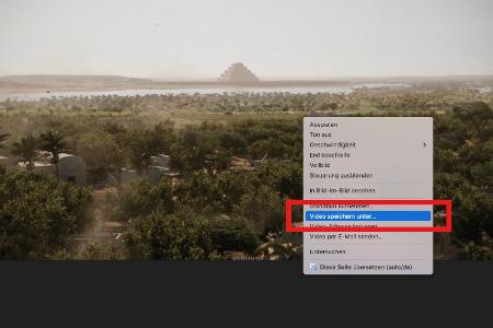 Jetzt speichern Sie den Film in Firefox ab.