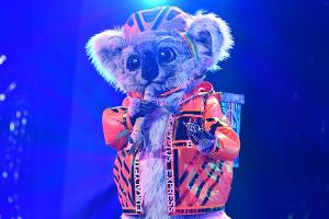 "The Masked Singer": Dieser Starsänger muss die Show verlassen