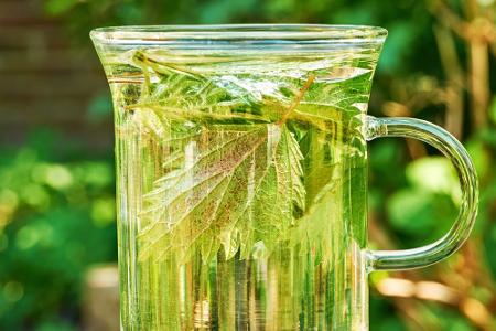 Juckende Nase adé: Die besten Tipps gegen Heuschnupfen