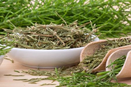 Juckende Nase adé: Die besten Tipps gegen Heuschnupfen