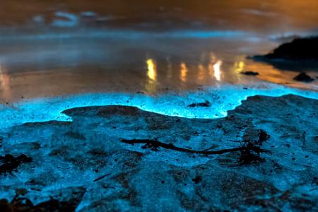 Blutregen und Co.: Diese Naturphänomene lassen uns staunen