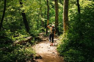 Die Natur ruft: Drei traumhafte Ziele für Waldbegeisterte