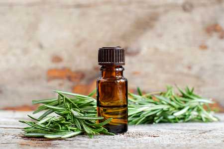 Das sind die besten Tipps gegen dünnes Haar und Haarausfall Rosmarin