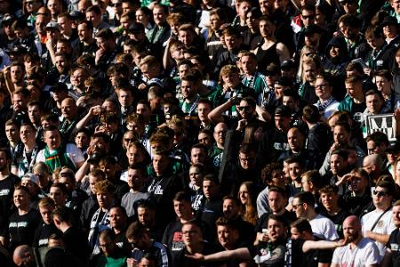 Drei Ordner nach Gladbacher Derby-Pleite verletzt