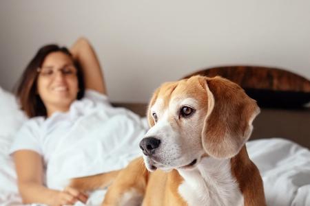 Unruhig in der Nacht? Das sind die häufigsten Schlaffehler