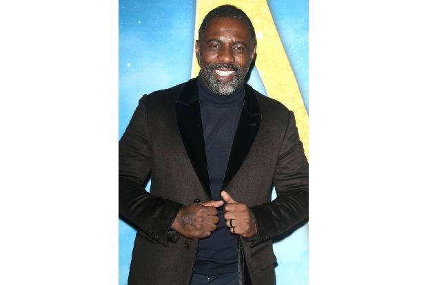 Von dubiosen Politikern zu echten Helden: Idris Elba konnte sich 2013 in 'Nelson Mandela - Der lange Weg zur Freiheit' schauspielerisch vollkommen austoben, als er den südafrikanischen Präsidenten dar ...