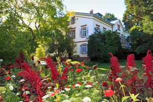 Über 2500 Staudenarten im Hermannshof 