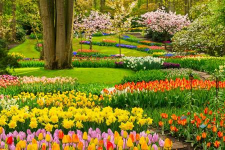 Bunte Pracht: Wo Blumenfreunde glücklich werden