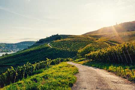 Die schönsten Orte für ein Picknick in Deutschland