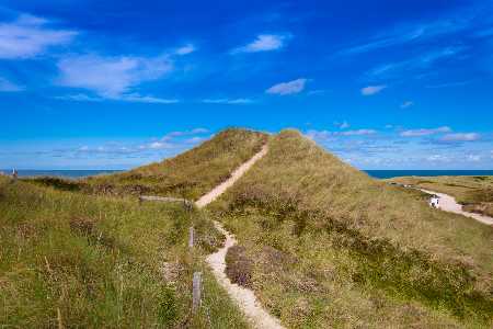 Die schönsten Orte für ein Picknick in Deutschland