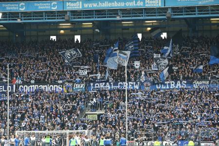 Nachhaltigkeit: Bielefeld stärkt Waldschutz-Projekte