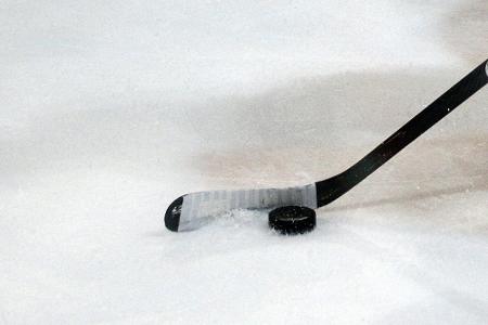 DEL: Augsburg verpflichtet Volek und Sacher