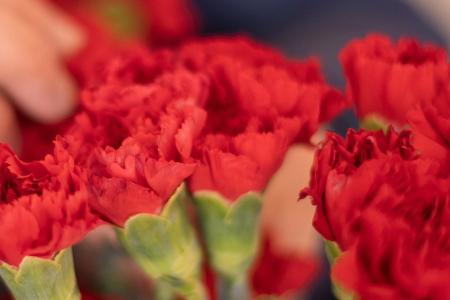 So feiert die Welt den Muttertag