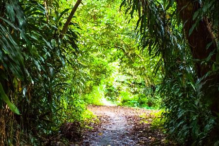 Diese Stadtparks gehören zu den schönsten der Welt
