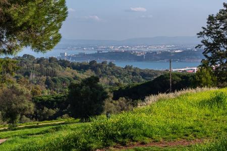 Diese Stadtparks gehören zu den schönsten der Welt