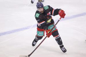 DEL: Eisbären verpflichten Nationalspieler Nowak