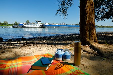 Die schönsten Orte für ein Picknick in Deutschland