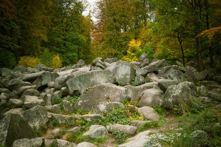 Die schönsten Orte für ein Picknick in Deutschland
