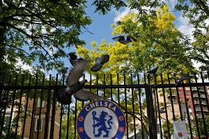 Grünes Licht für Chelsea-Verkauf: Regierung stimmt zu