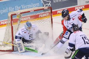 CHL: Straubing Tigers treffen auf schwedischen Meister