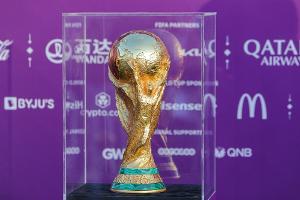 ProFans fordert Mitgliederbefragung zur WM-Teilnahme