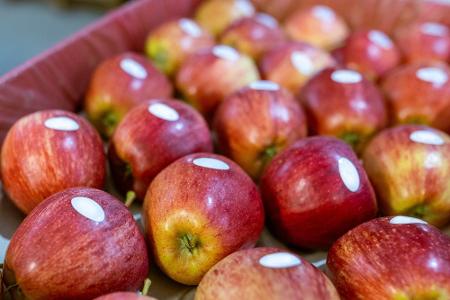 Kuriose Fakten über unser Essen und Trinken