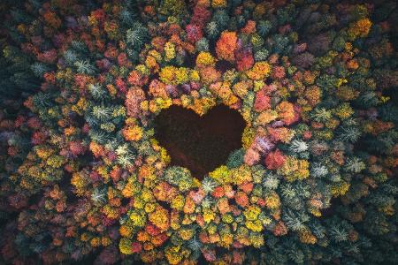 Gesprächsthemen Krebs Gefühle