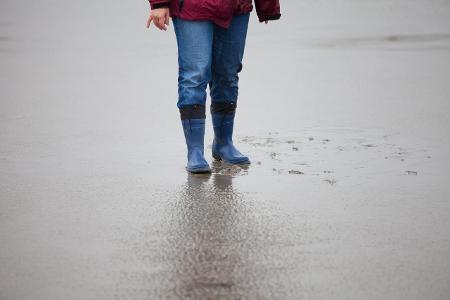 Wattenmeer Getty.jpg