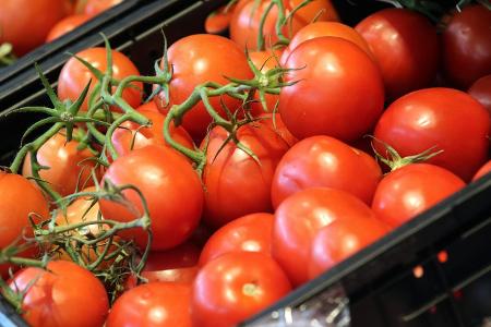 tomaten.jpg