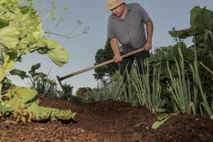 Unkraut und Schädlinge im Garten bekämpfen