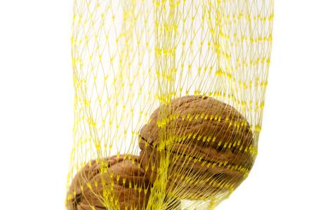 Studie: Was Frauen an einem Penis lieben