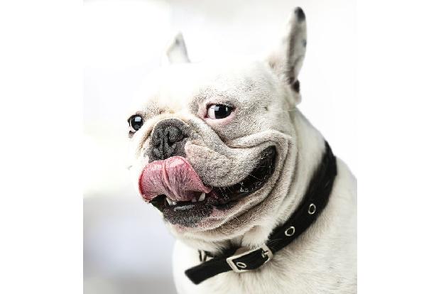 sex stellung kleiner penis Doggy-Style