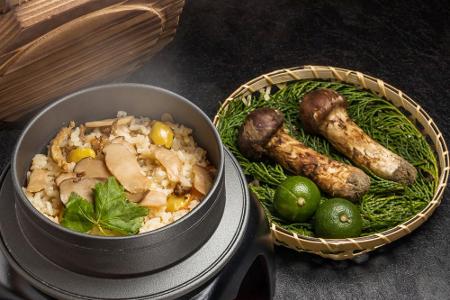 Pilzsucher aufgepasst! Wer sich in Japan auf die Suche macht und fündig wird, kann unter Umständen reich werden. Matsutake-P...