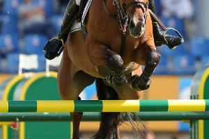 CHIO in Aachen: Stevens als Dritter bester Deutscher