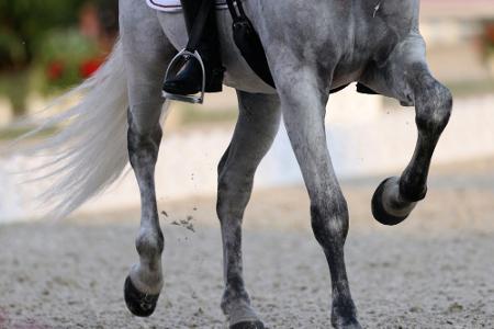 CHIO Aachen: Wandres gewinnt erste Dressurprüfung