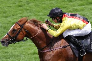 Torquator Tasso wieder da: Souveräner Sieg im Hansa-Preis