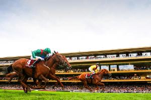 Galopp: Sammarco gewinnt Deutsches Derby