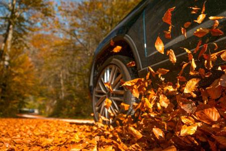 Autofahren im Herbst